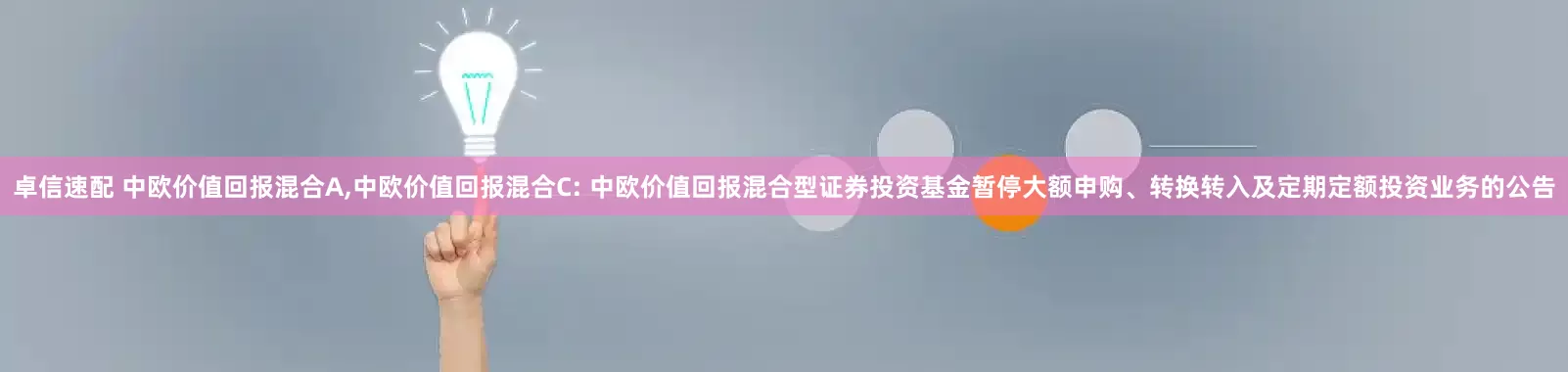 卓信速配 中欧价值回报混合A,中欧价值回报混合C: 中欧价值回报混合型证券投资基金暂停大额申购、转换转入及定期定额投资业务的公告