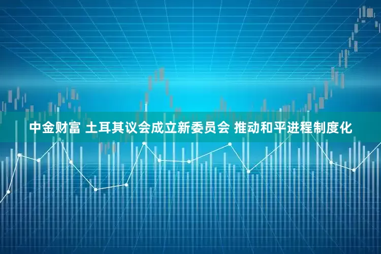 中金财富 土耳其议会成立新委员会 推动和平进程制度化