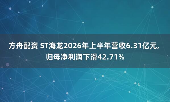 方舟配资 ST海龙2026年上半年营收6.31亿元, 归母净利润下滑42.71%